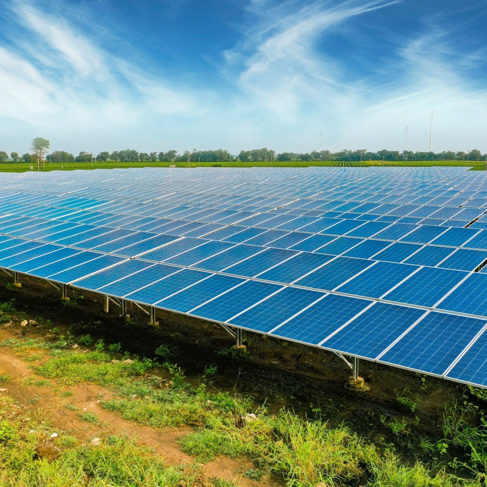 Profitable Sustainability